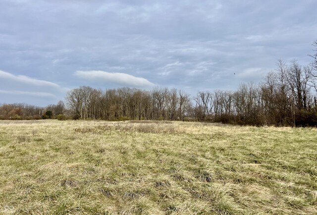 2750 N County Road 1000 E, Indianapolis, IN 46234 - view of local wilderness featuring rural landscape