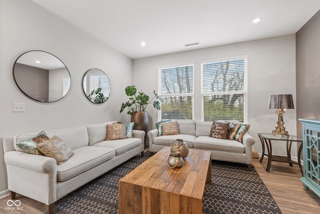 living room featuring hardwood / wood-style floors