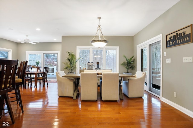 dining space with ceiling fan, plenty of natural light, and hardwood / wood-style flooring