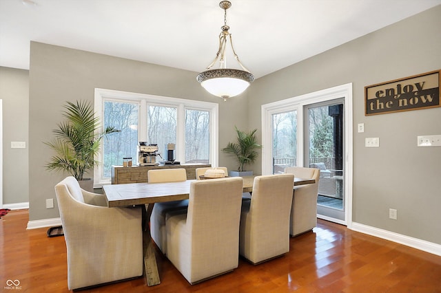 dining space featuring dark wood-type flooring