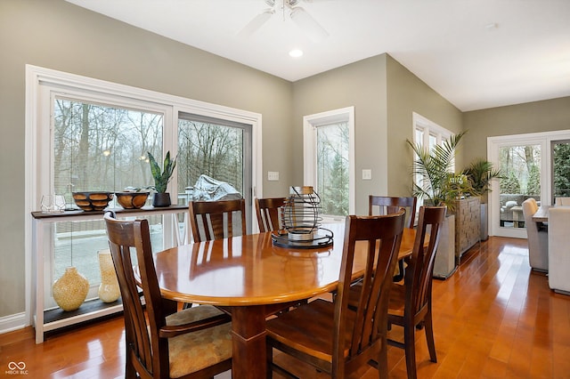 dining room with ceiling fan and wood-type flooring