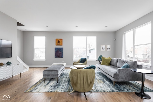 living room featuring hardwood / wood-style floors and a wealth of natural light