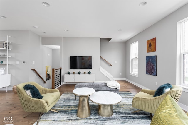 living room with wood-type flooring