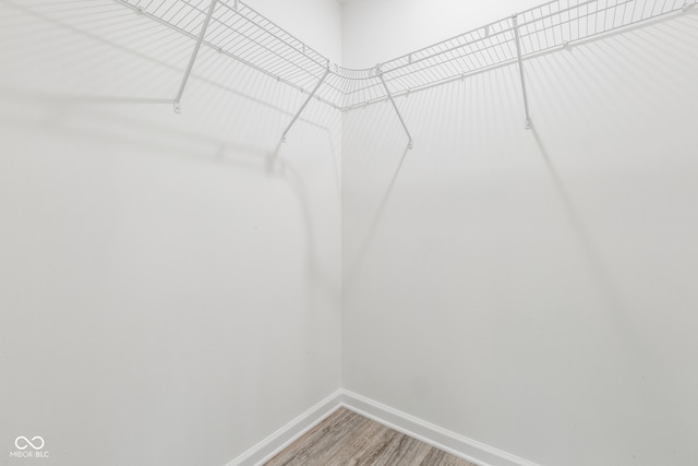 walk in closet with hardwood / wood-style floors