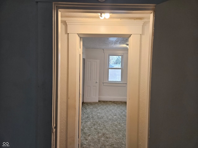 hallway featuring a textured ceiling and carpet floors