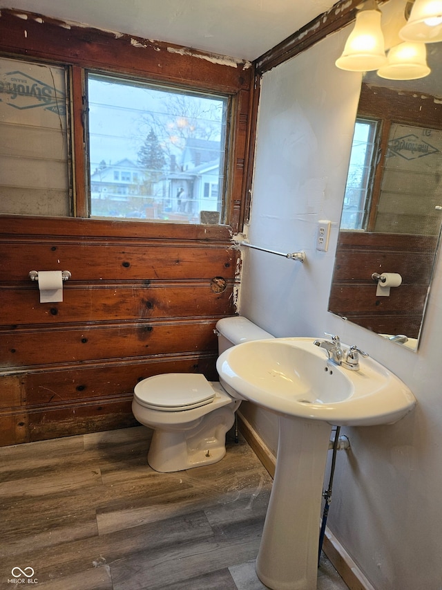 bathroom with hardwood / wood-style floors and toilet