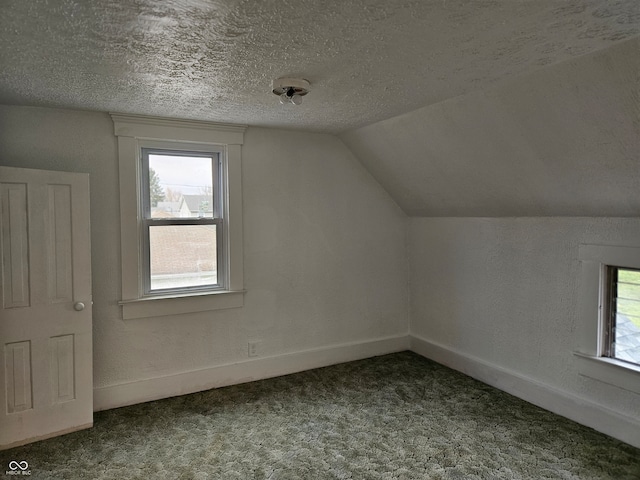 additional living space featuring a textured ceiling, carpet floors, and lofted ceiling