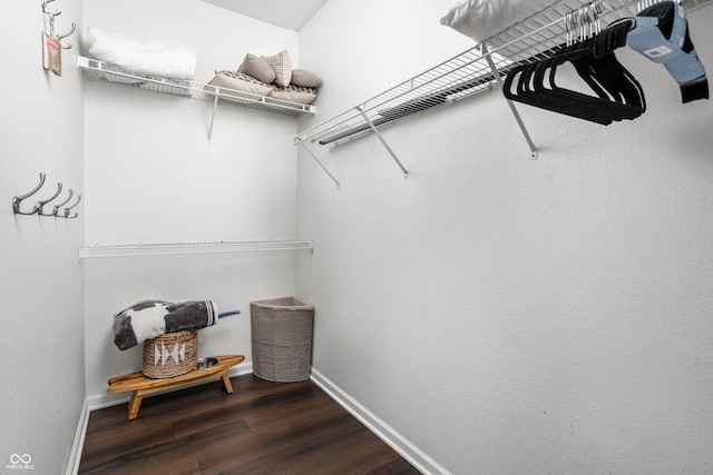 walk in closet with dark hardwood / wood-style flooring