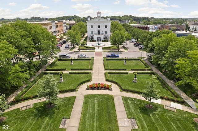 bird's eye view