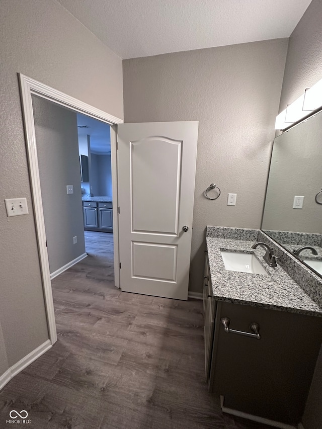 bathroom with vanity and wood-type flooring