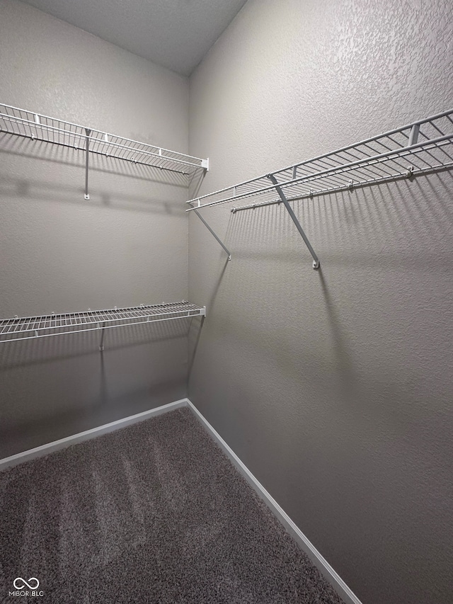 spacious closet with carpet