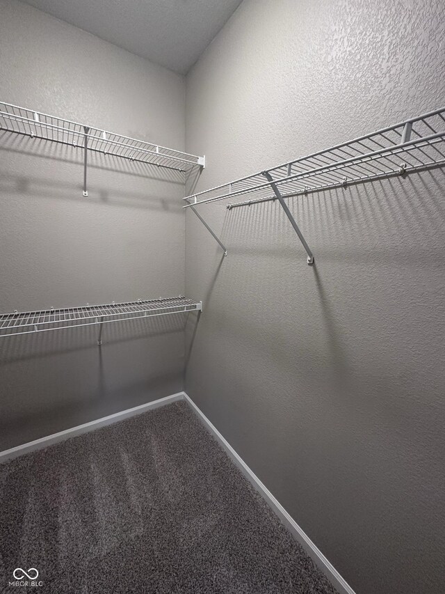 12938 University Cres Apt 2B, Carmel, IN 46032 - photo 17