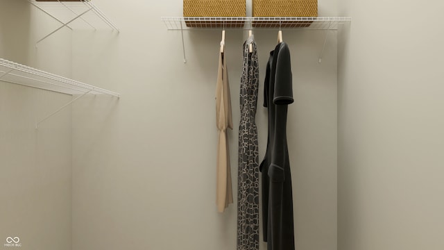 view of spacious closet