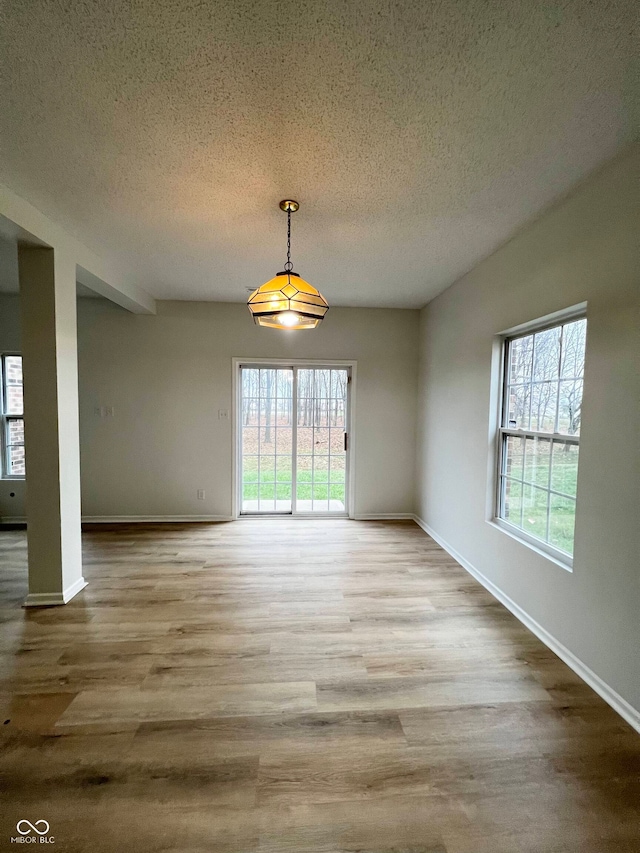 unfurnished dining area featuring hardwood / wood-style floors, a textured ceiling, and a wealth of natural light