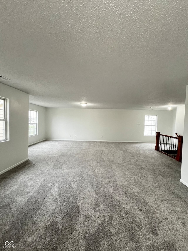 empty room with carpet floors, a textured ceiling, and a wealth of natural light