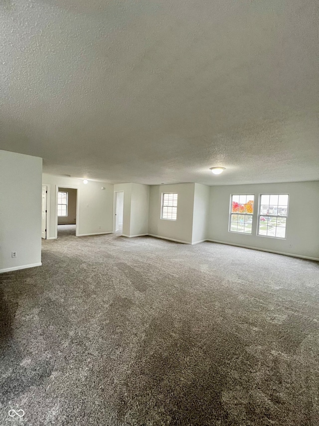 empty room featuring plenty of natural light, carpet floors, and a textured ceiling