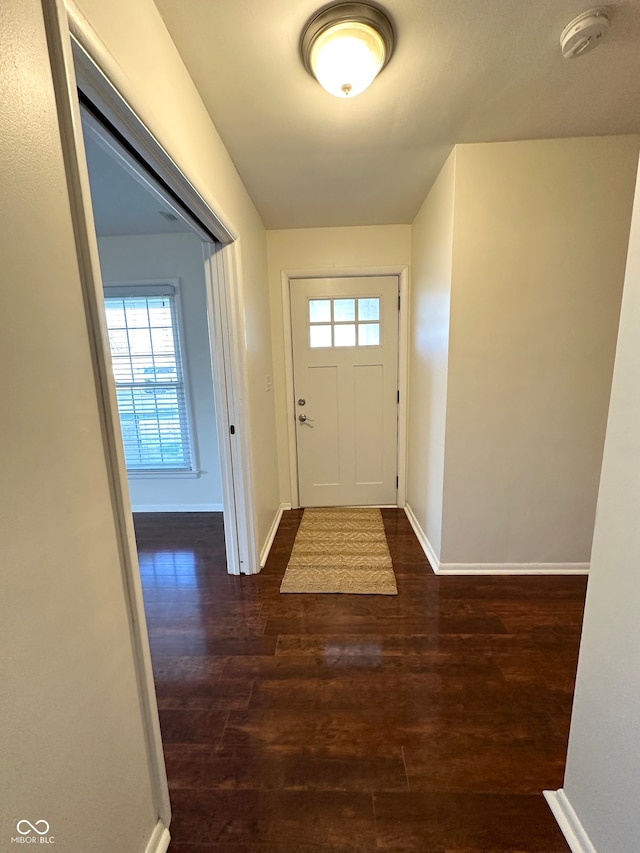 entryway with dark hardwood / wood-style flooring