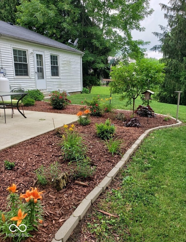 view of yard with a patio area