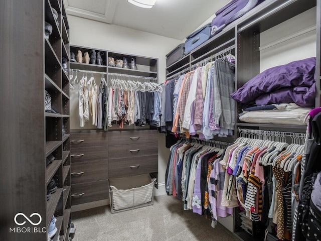 spacious closet featuring carpet