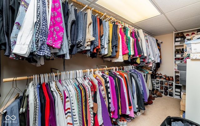 walk in closet with carpet flooring and a drop ceiling