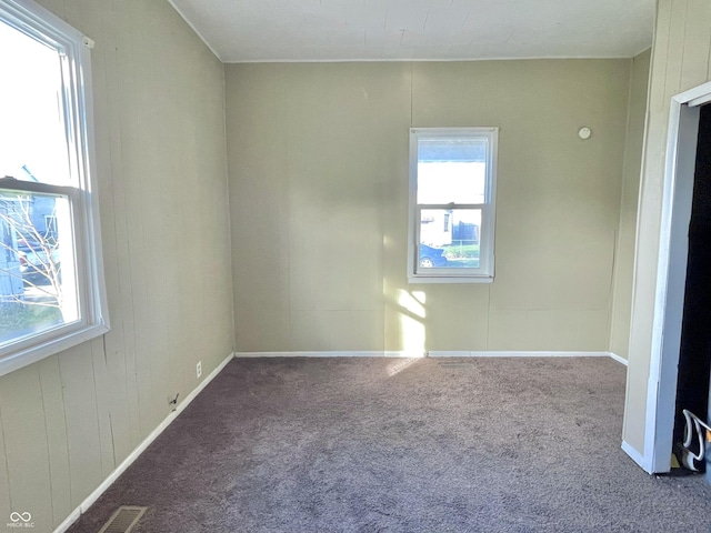 unfurnished room with carpet floors and plenty of natural light