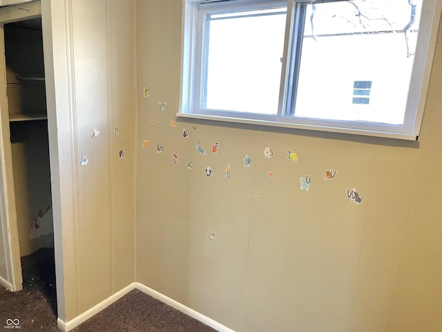 laundry room with carpet flooring