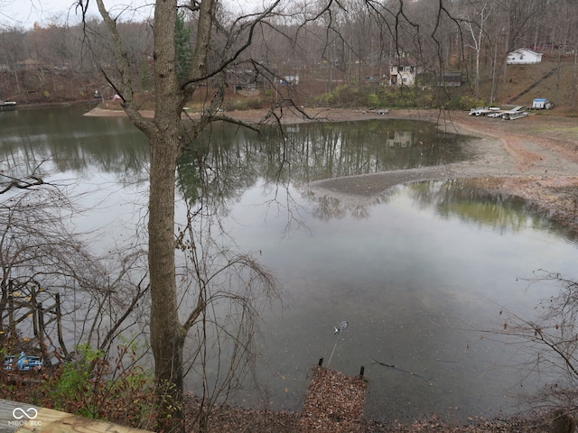 view of water feature