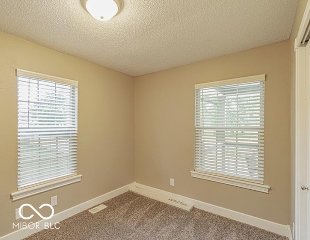 empty room featuring a textured ceiling, carpet floors, and a healthy amount of sunlight