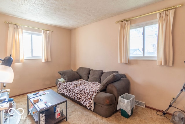 living room featuring light carpet, plenty of natural light, and a textured ceiling