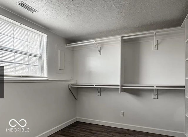 spacious closet featuring dark wood-type flooring