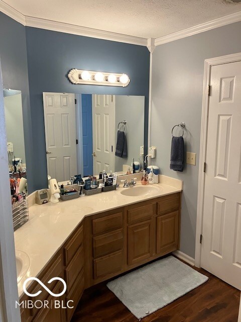 bathroom with vanity, a textured ceiling, hardwood / wood-style flooring, and crown molding