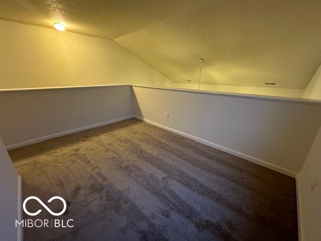 additional living space featuring carpet flooring, a textured ceiling, and vaulted ceiling