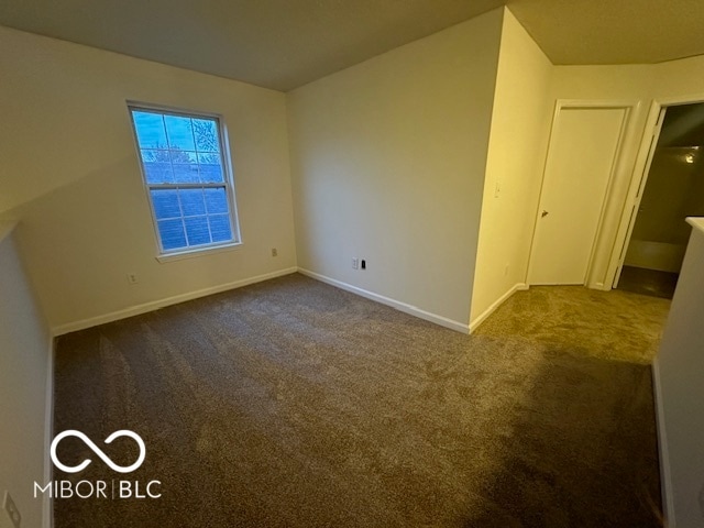 unfurnished room with carpet