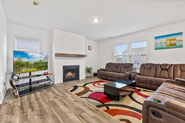 living room featuring hardwood / wood-style floors