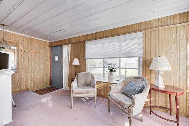 80 S Mickley Ave, Indianapolis, IN 46241 - living area with wooden walls and carpet