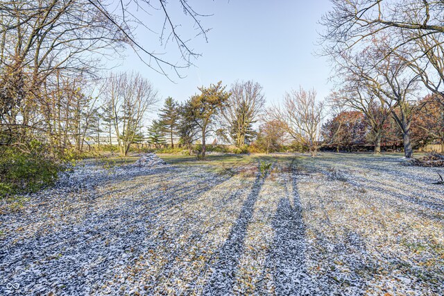 80 S Mickley Ave, Indianapolis, IN 46241 - view of yard