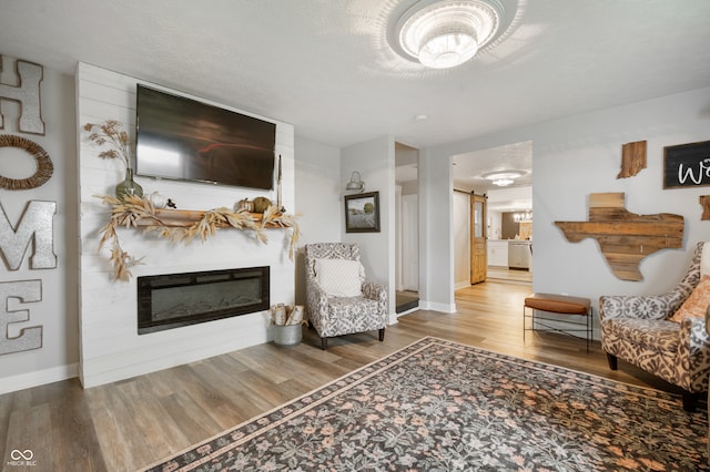 living room featuring a barn door and wood-type flooring