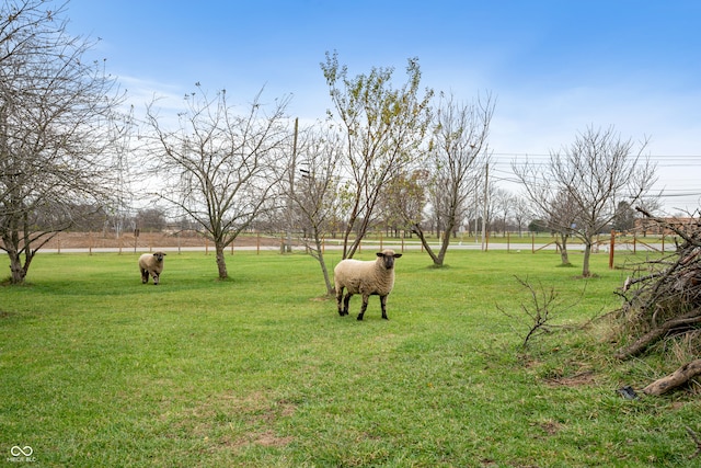 view of yard with a rural view