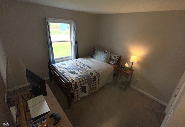 bedroom with carpet floors