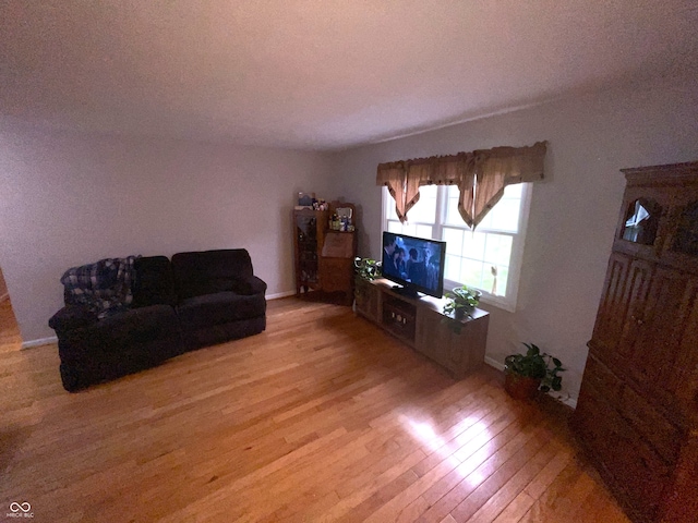 living room featuring light wood-type flooring