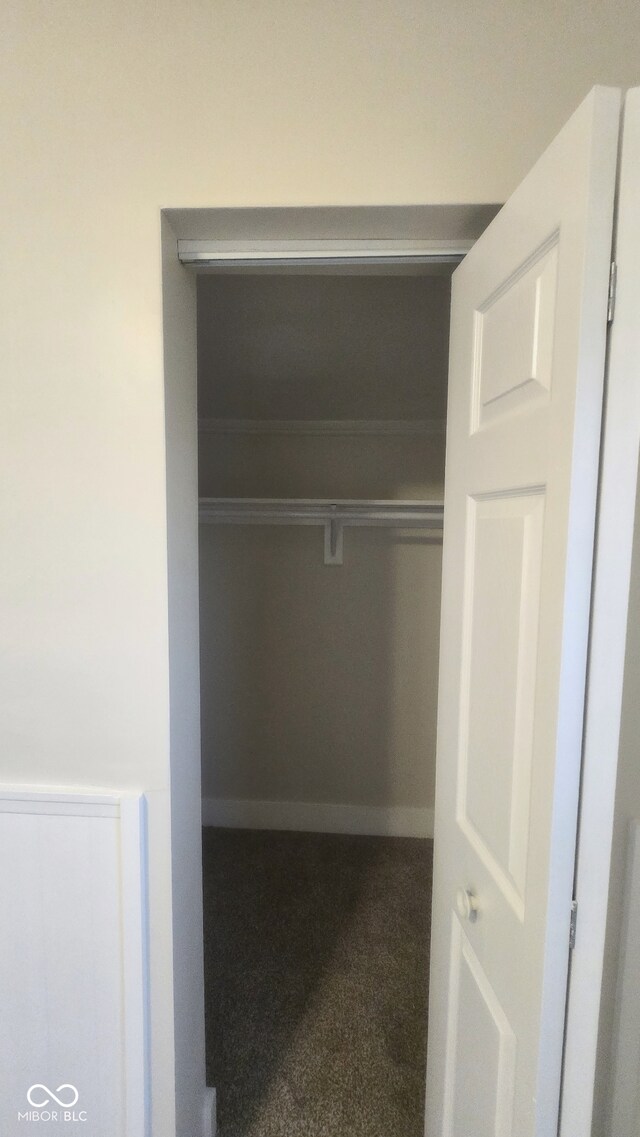 view of closet