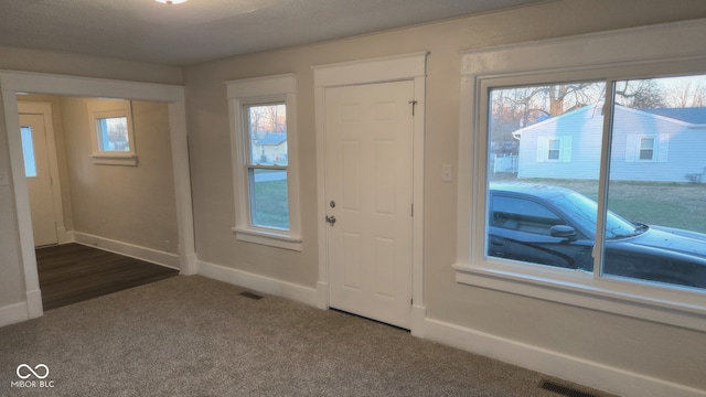 carpeted foyer entrance with plenty of natural light and a textured ceiling