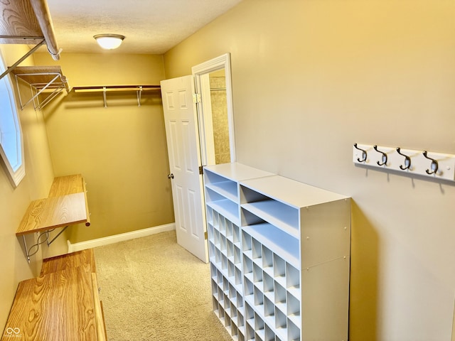 walk in closet featuring carpet