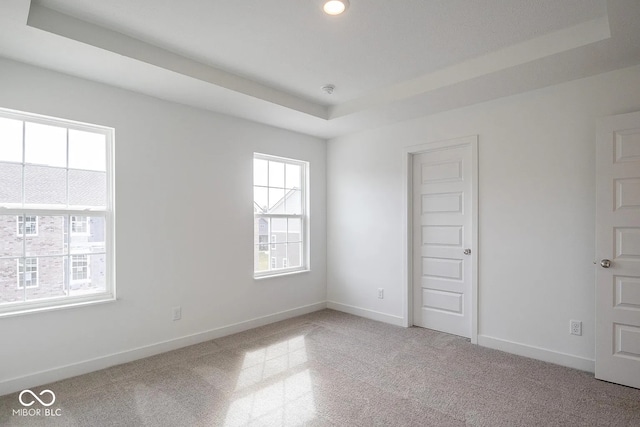 carpeted spare room with a raised ceiling and plenty of natural light