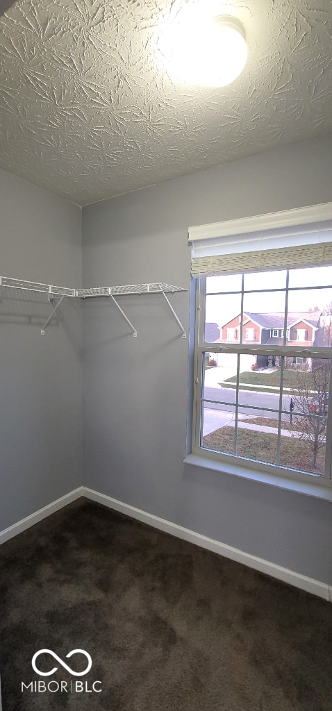 walk in closet with dark colored carpet