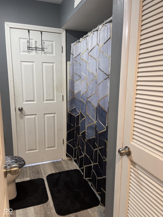 bathroom featuring wood-type flooring