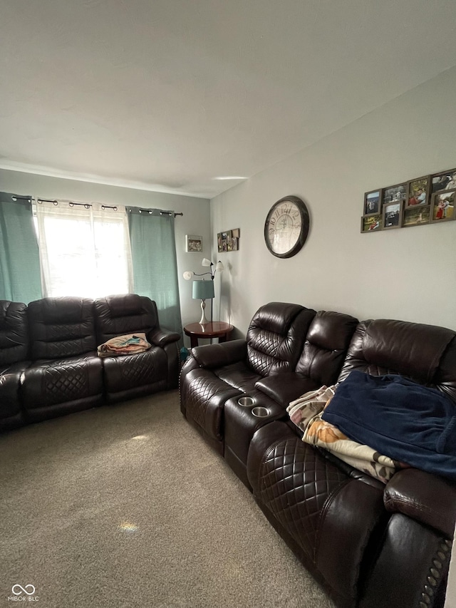 living room featuring carpet