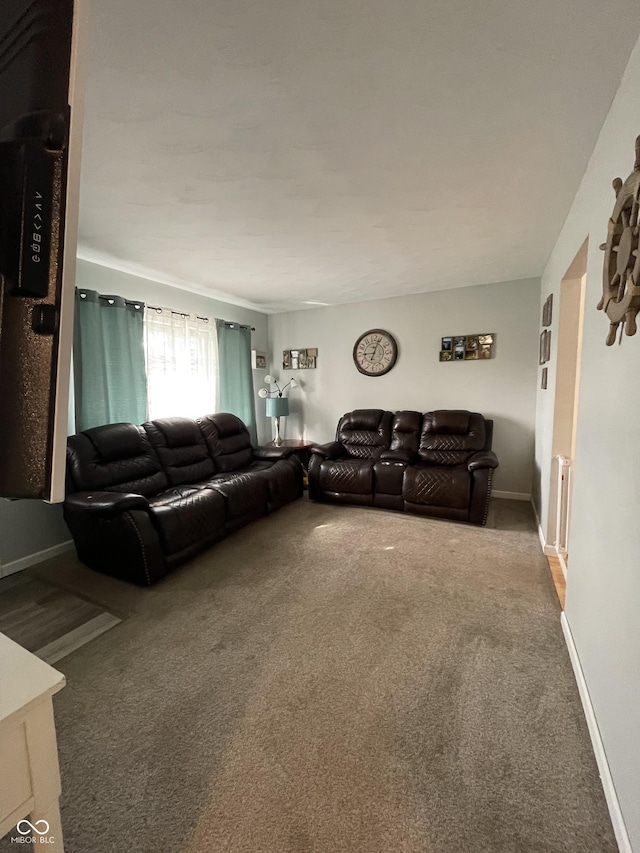 living room with carpet flooring