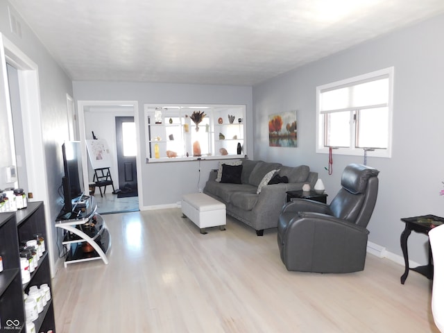 living room featuring light hardwood / wood-style flooring