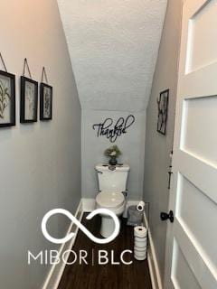 bathroom featuring wood-type flooring, vaulted ceiling, and toilet